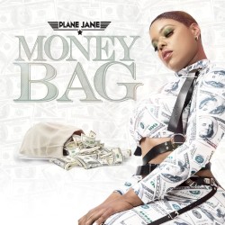 Money Bag
