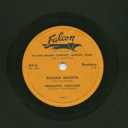 Paloma maldita / Vicente Zavala