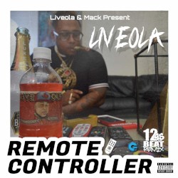 Remote Controller