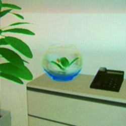 Wiiきおくにとどめる