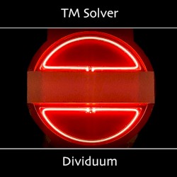 Dividuum