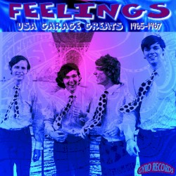 USA Garage Greats 1965-1967: Vol. 71: Feelings!