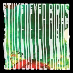 Stuyedeyed / Birds Split 7"