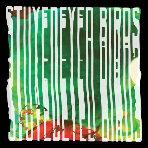 Stuyedeyed / Birds Split 7"