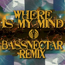 Where Is My Mind