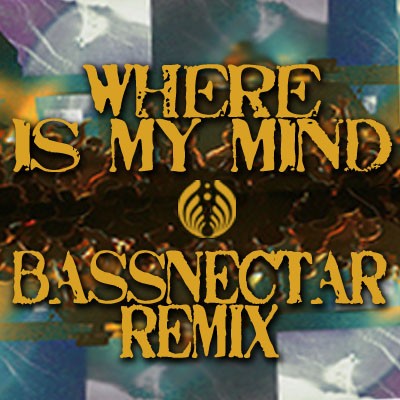 Where Is My Mind