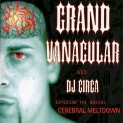 Entering The Brain : Cerebral Meltdown