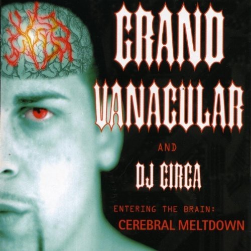Entering The Brain : Cerebral Meltdown