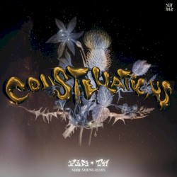 Constellations (Nihil Young remix)