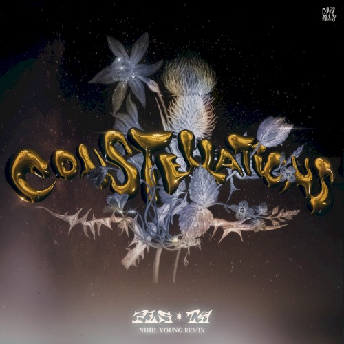 Constellations (Nihil Young remix)