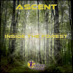 Inside the Forest