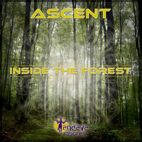 Inside the Forest