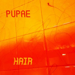 HAIR
