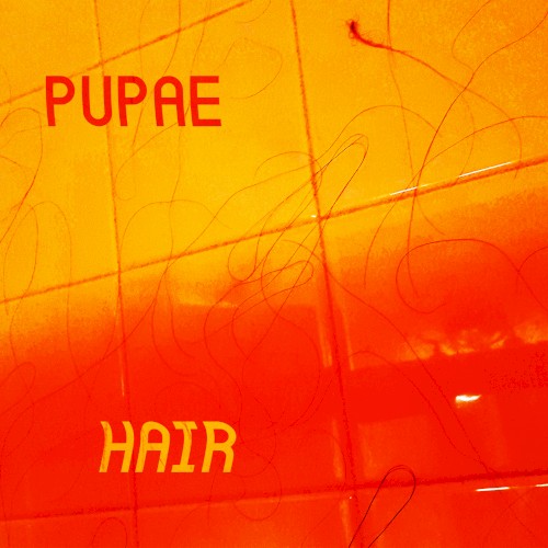 HAIR