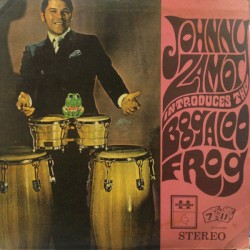 Introduces the Boogaloo Frog