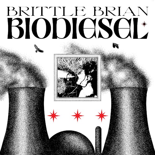 Biodiesel