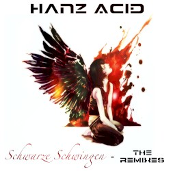 Schwarze Schwingen - The Remixes