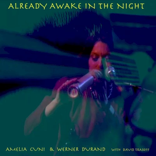Already Awake in the Night