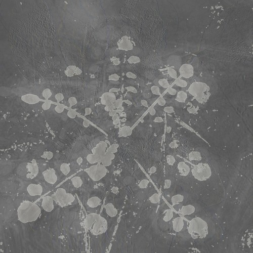 Music For Melted Floors