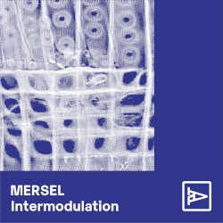 Intermodulation