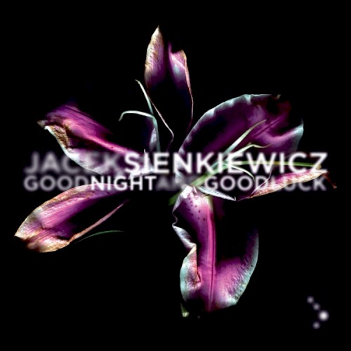 Good Night and Good Luck