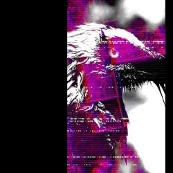 Vulture