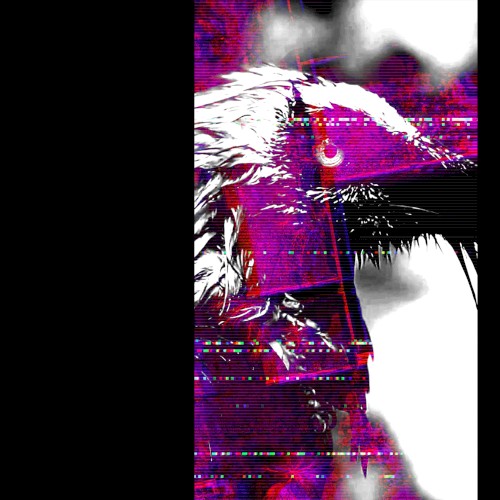Vulture