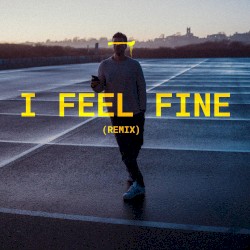 I Feel Fine (remix)