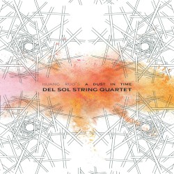 A Dust in Time