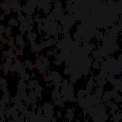 Darse / Unreleased