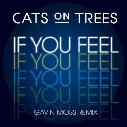 If You Feel (Gavin Moss remix)