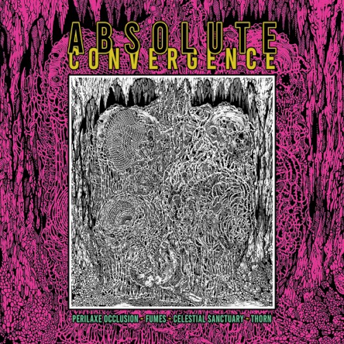 Absolute Convergence
