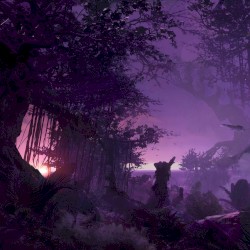 Vivid Purple