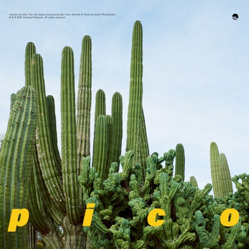 pico