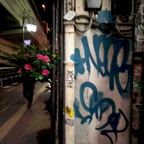 ayama_fl(060908)