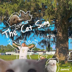 The Cat Song