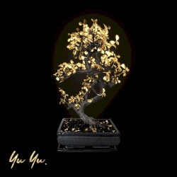 YU YU