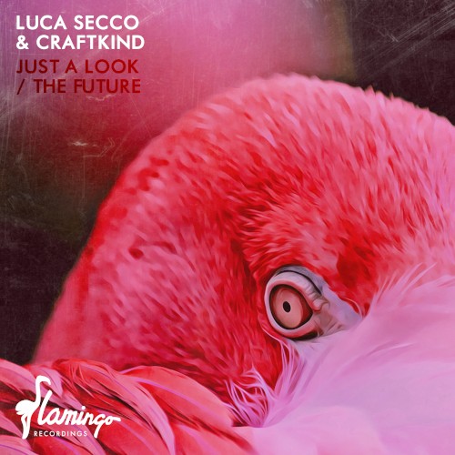 Just a Look / The Future