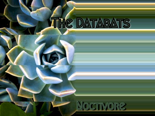 Noctivore
