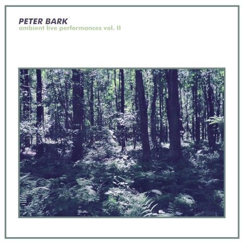 Ambient Live Performances, Vol. 2