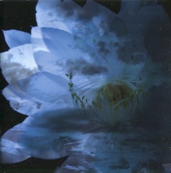 LUNA SEA MEMORIAL COVER ALBUM –Re:birth–