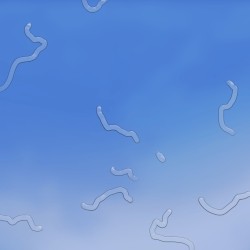 НЕБО