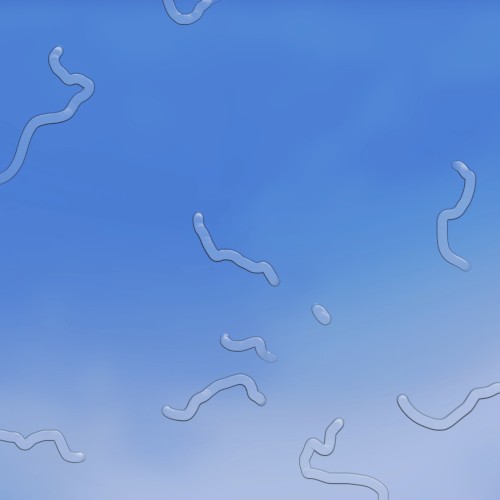 НЕБО