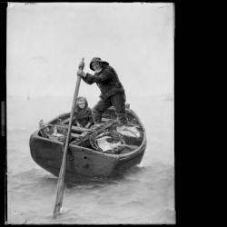 Plunder the Ocean