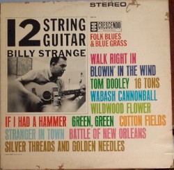 12 String Guitar