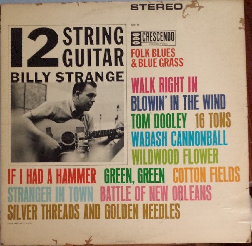 12 String Guitar