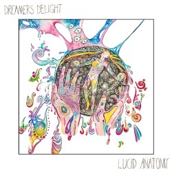 Lucid Anatomy