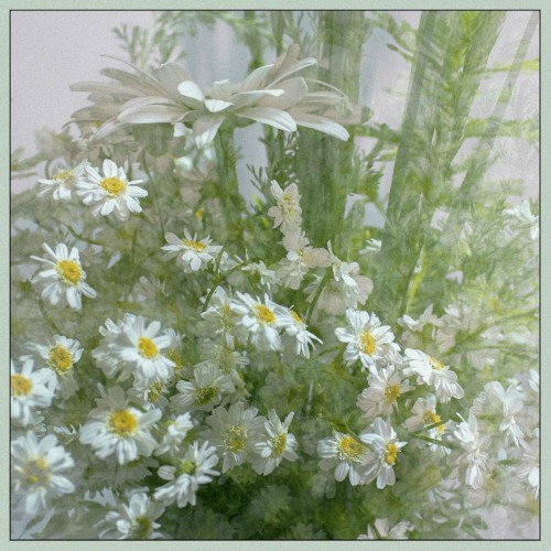 New Life