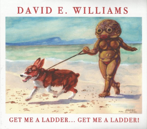 Get Me A Ladder... Get Me A Ladder!