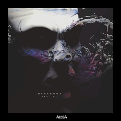 Blackbox